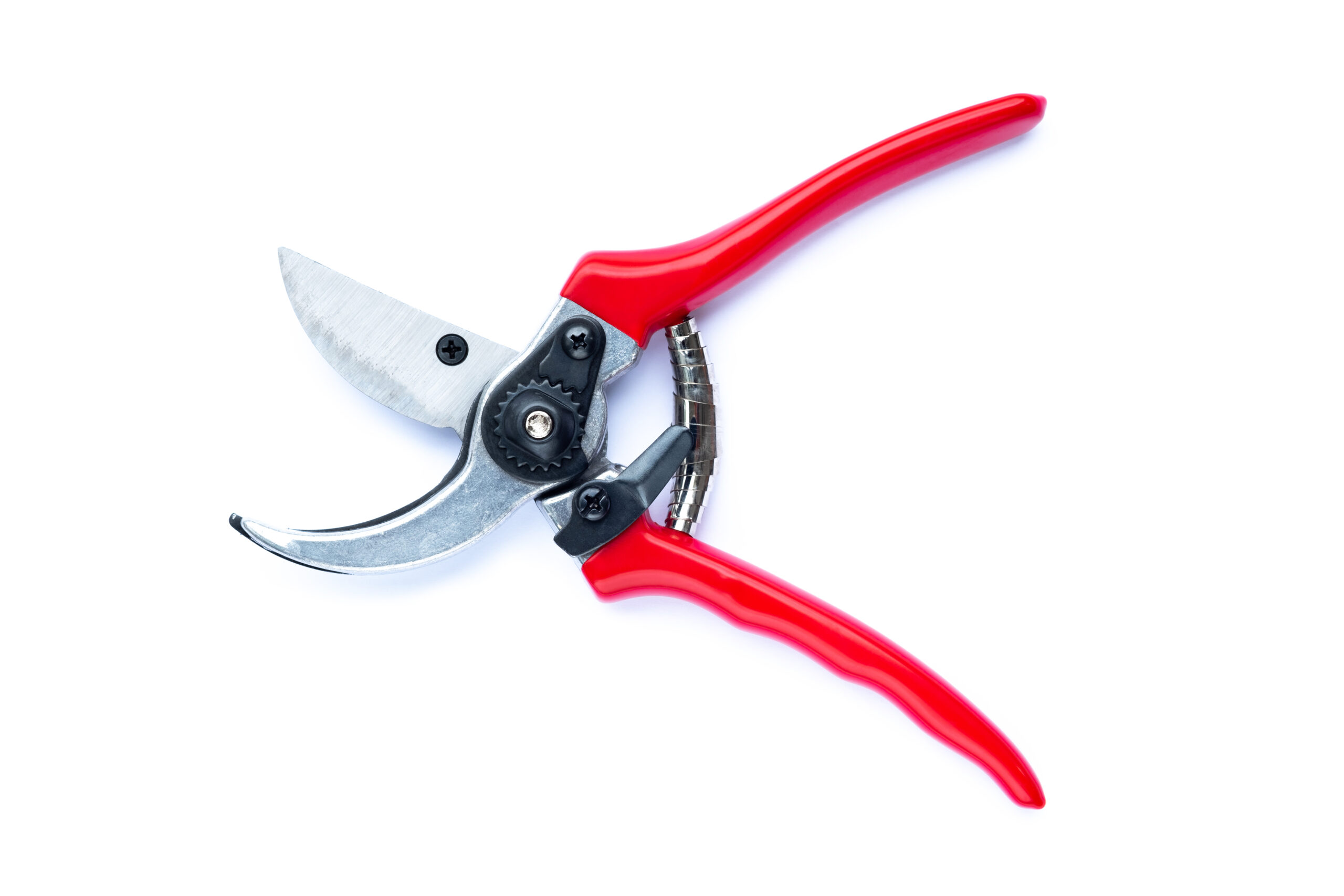 Red pruning shears isolated on white background