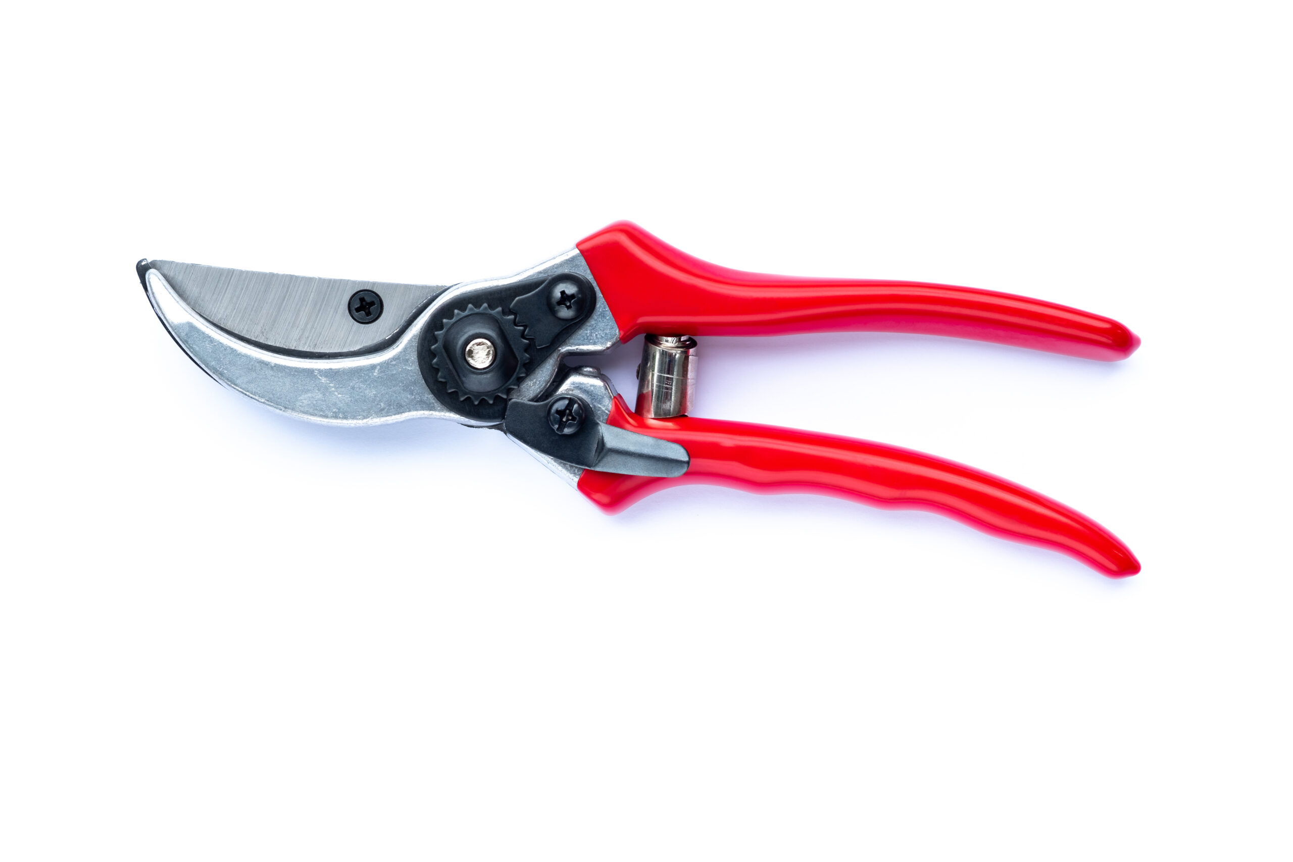 Red pruning shears isolated on white background
